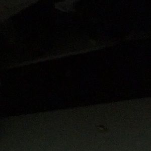 Meet your Posher, Noa